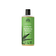Urtekram Shampoo Aloe Vera trockenes Haar 500 ml