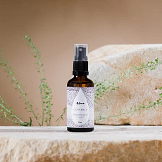 Alma Handreinigungsspray mit antimikrobieller Wirkung Ochránce 50 ml Alma Handreinigungsspray mit antimikrobieller Wirkung Ochránce 50 ml