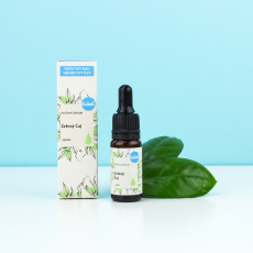Kvitok Gesichtsserum Grüner Tee 10 ml