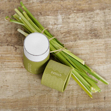 Ponio Fester Deodorant Teebaum und Zitronengras 50 ml Ponio Fester Deodorant Teebaum und Zitronengras 50 ml