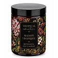 Soaphoria Botanische Sojakerze Palm Society 210 ml