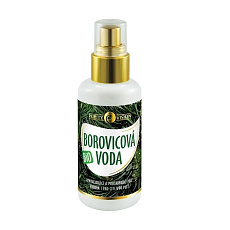 Purity Vision Kiefernwasser 100 ml Purity Vision Kiefernwasser 100 ml